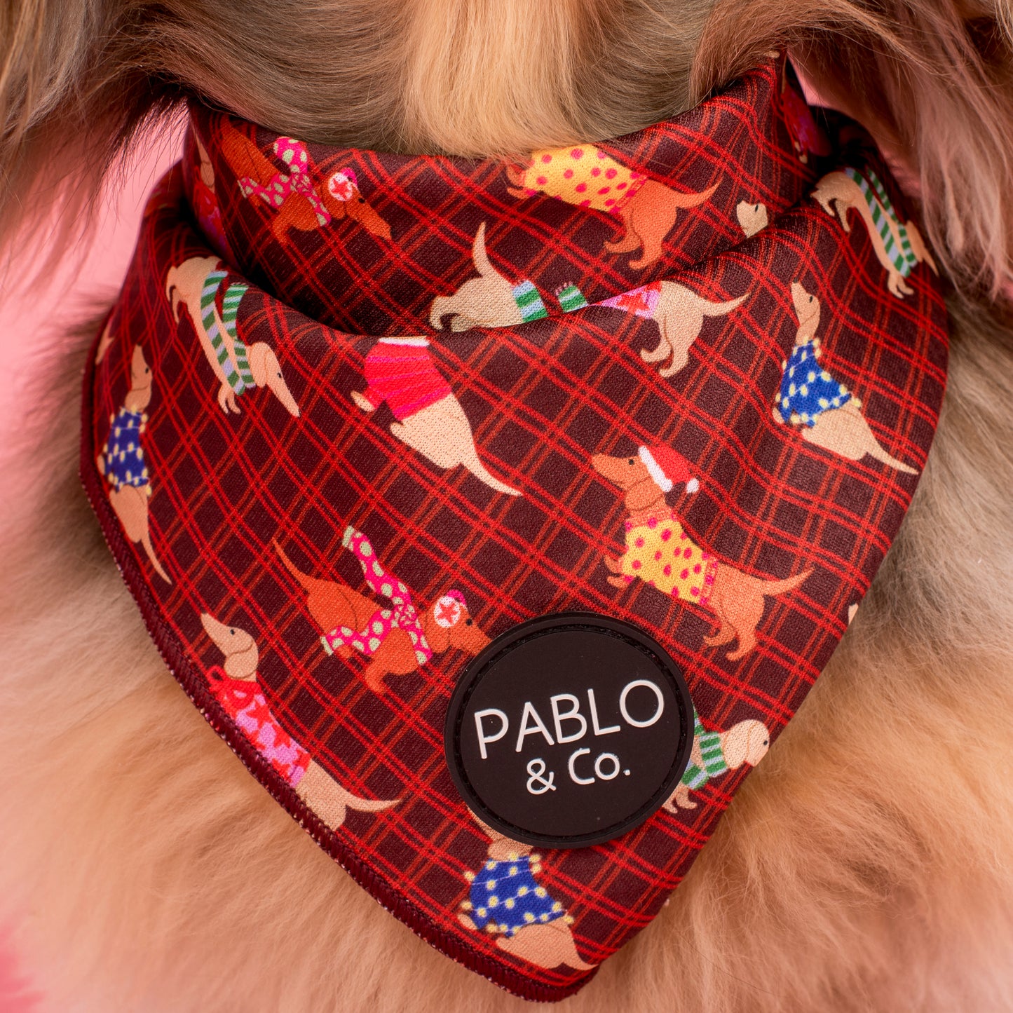 Merry Little Dachshunds: Dog Bandana