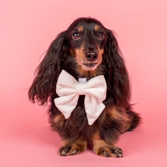 White Velvet Sailor Bow Tie