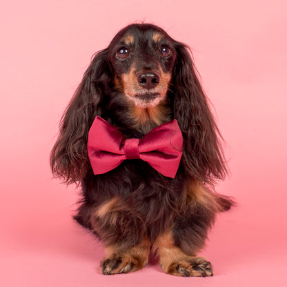 Burgundy Velvet Bow Tie