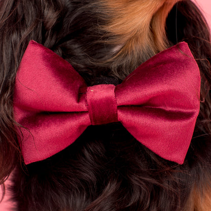 Burgundy Velvet Bow Tie