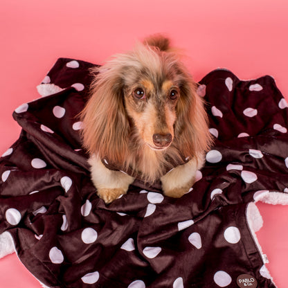 Polka Dots: Dog Blanket