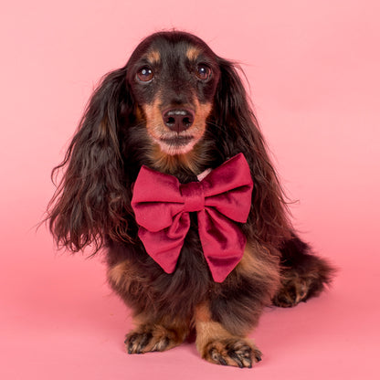 Merlot Velvet Sailor Bow Tie