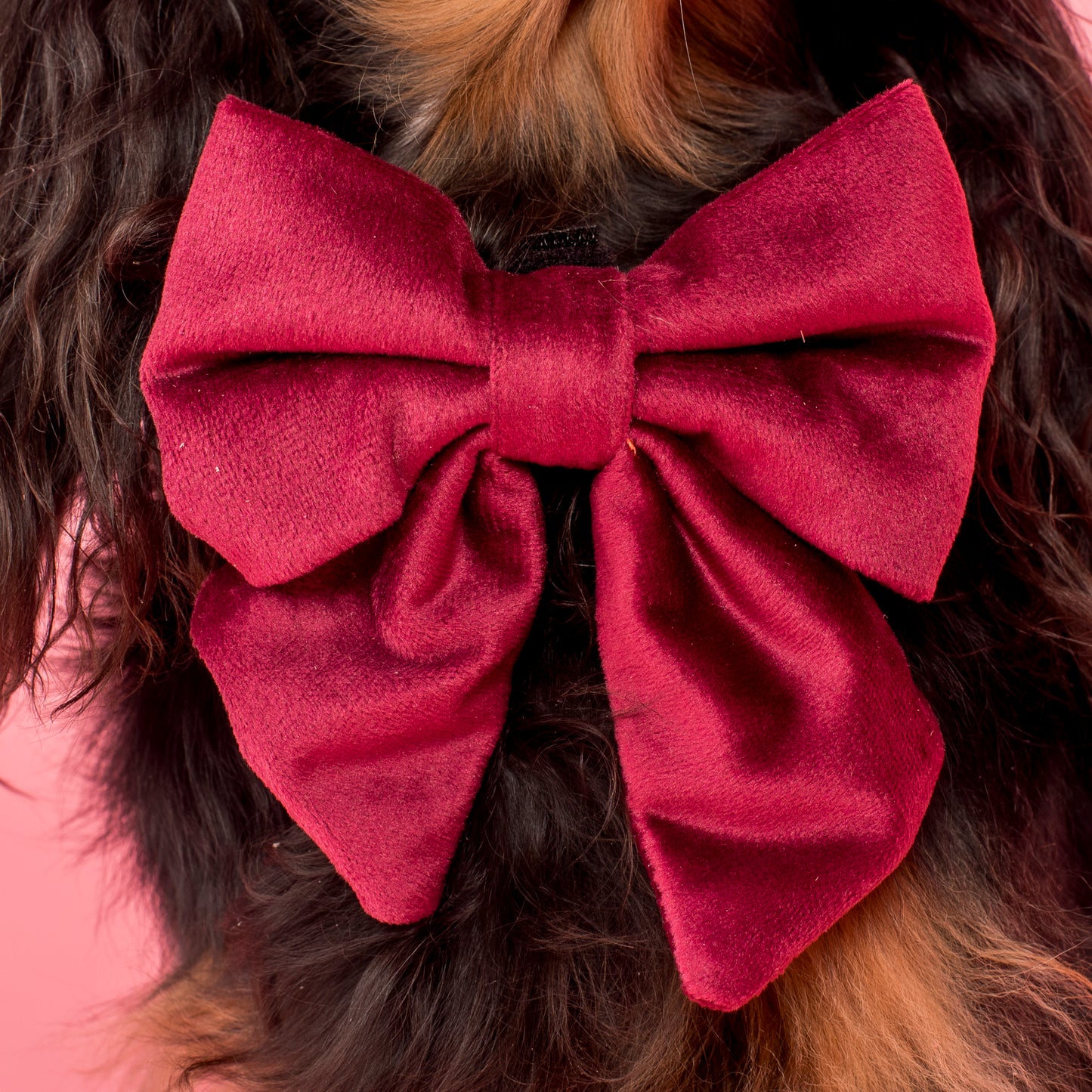 Merlot Velvet Sailor Bow Tie