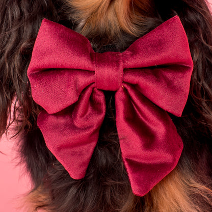 Merlot Velvet Sailor Bow Tie