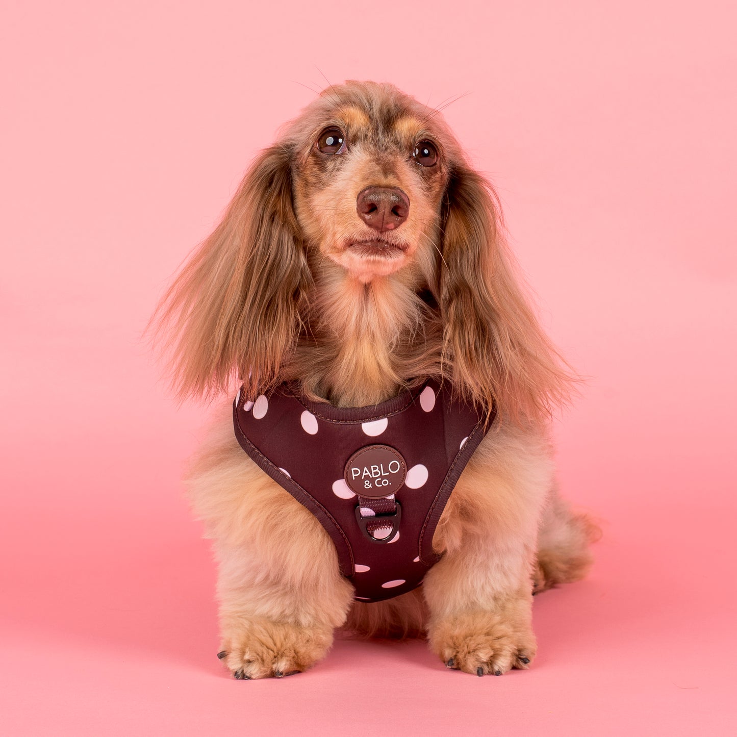 Polka Dots: Adjustable Harness