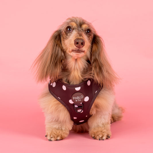 Polka Dots: Adjustable Harness