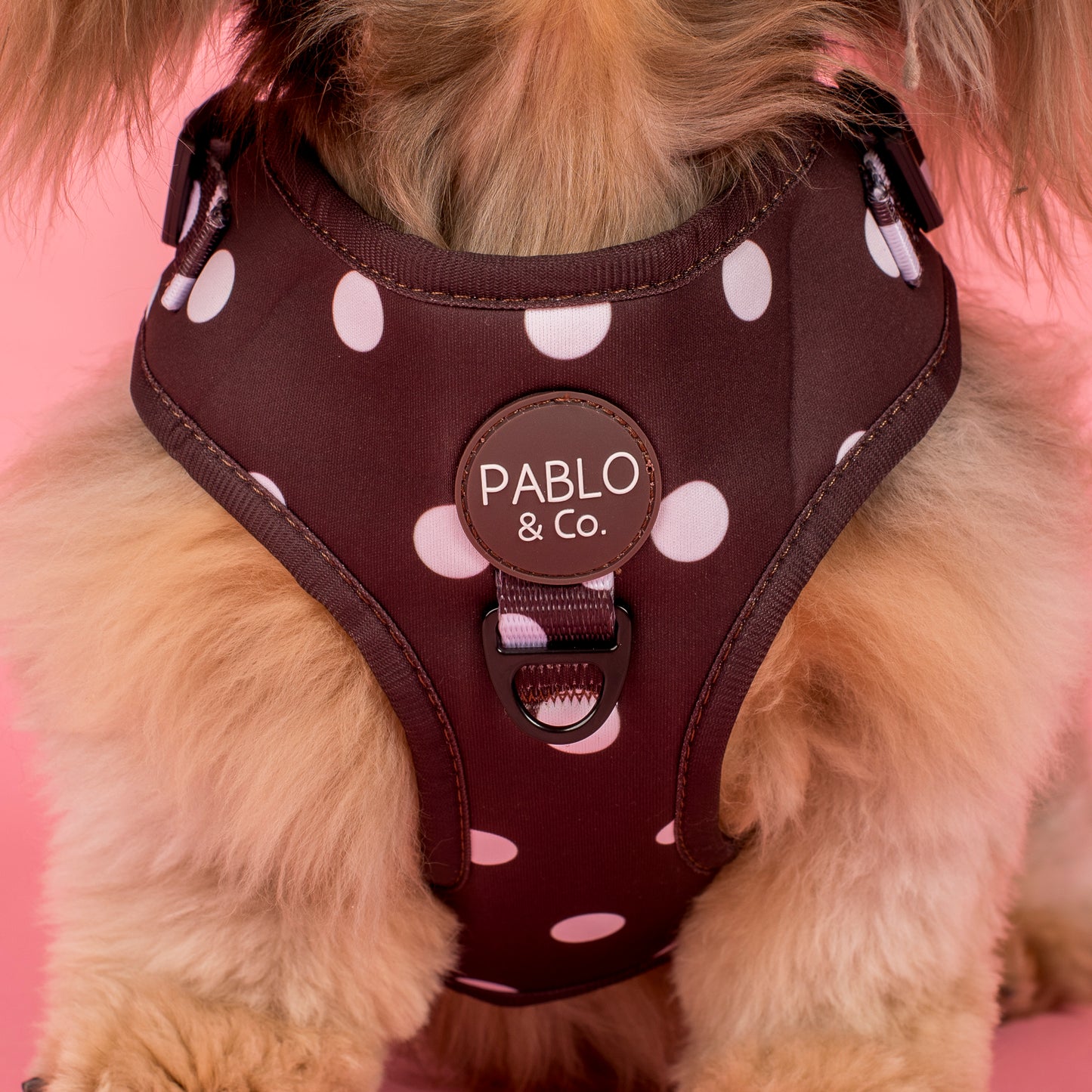 Polka Dots: Adjustable Harness