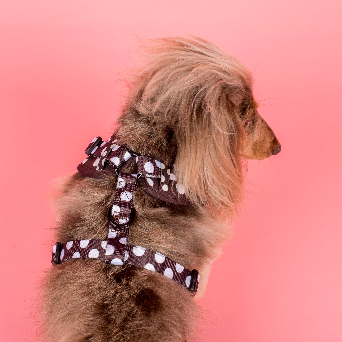 Polka Dots: Adjustable Harness