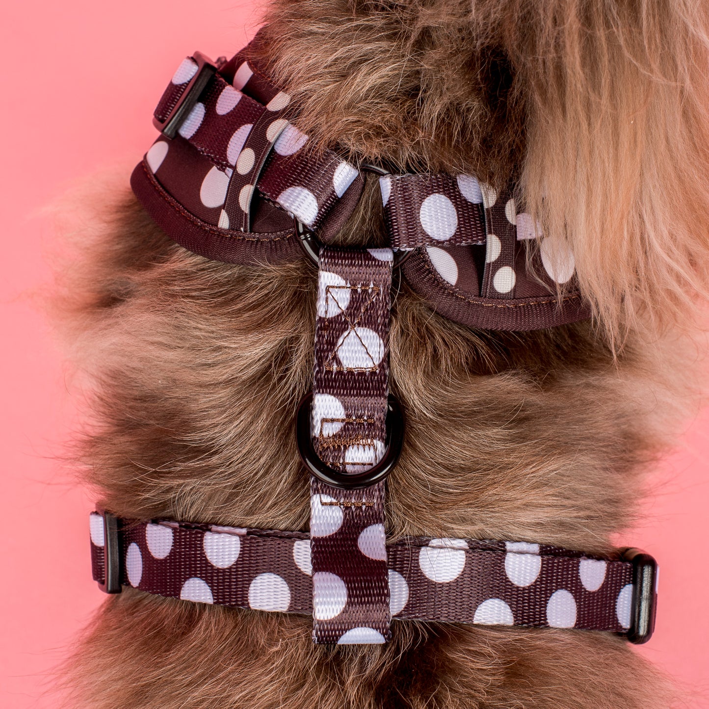 Polka Dots: Adjustable Harness