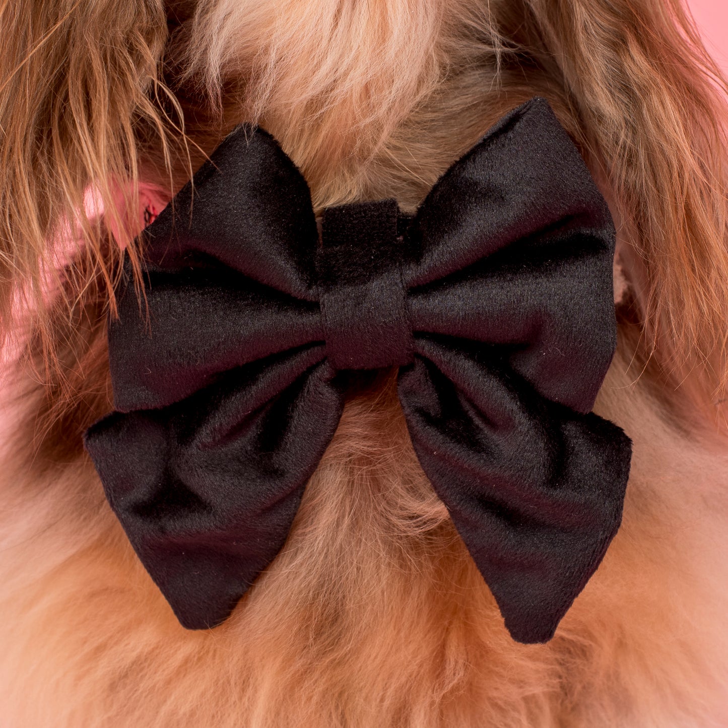 Black Velvet Sailor Bow Tie