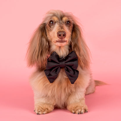 Black Velvet Sailor Bow Tie