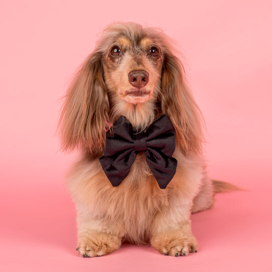 Black Velvet Sailor Bow Tie