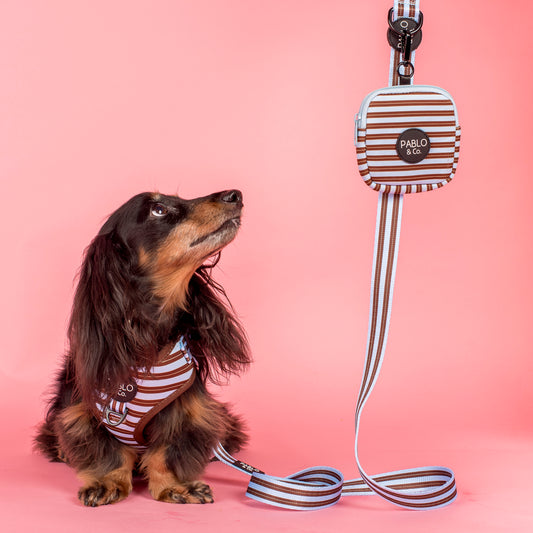 Sunday Stripes: Treat Pouch