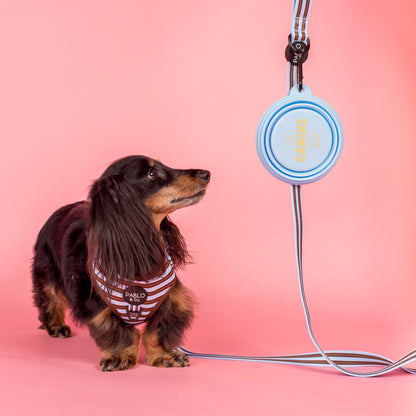 Collapsible Dog Water Bowl - Canine Club