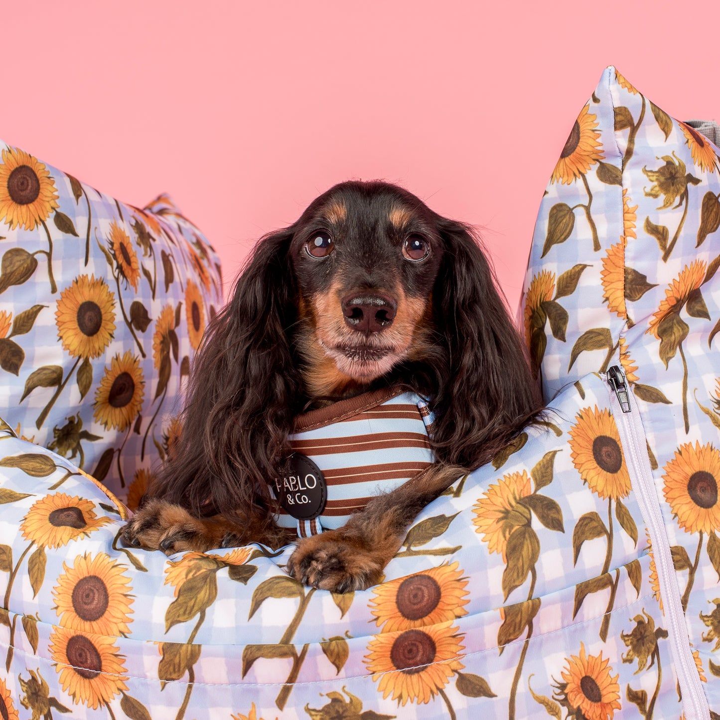 Deluxe Travel Car Bed: Sunny Sunflowers