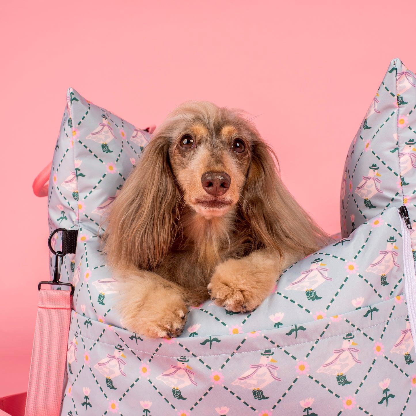 Deluxe Travel Car Bed: Silly Little Goose