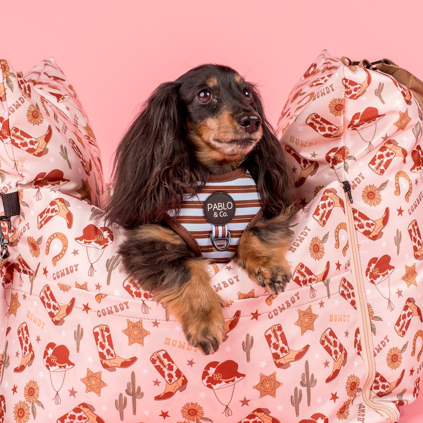 Deluxe Travel Car Bed: Howdy