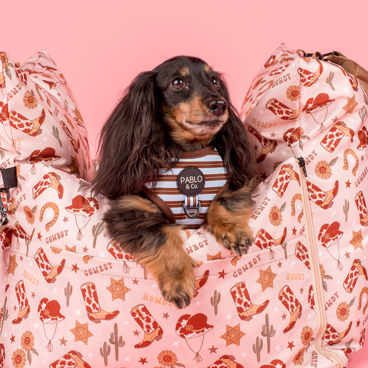 Deluxe Travel Car Bed: Howdy