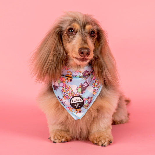 Up: Dog Bandana