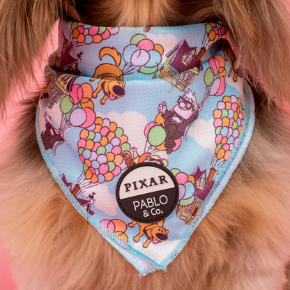 Up: Dog Bandana