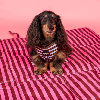 Deluxe Travel Mat: Blushing Stripes & Sunday Stripes