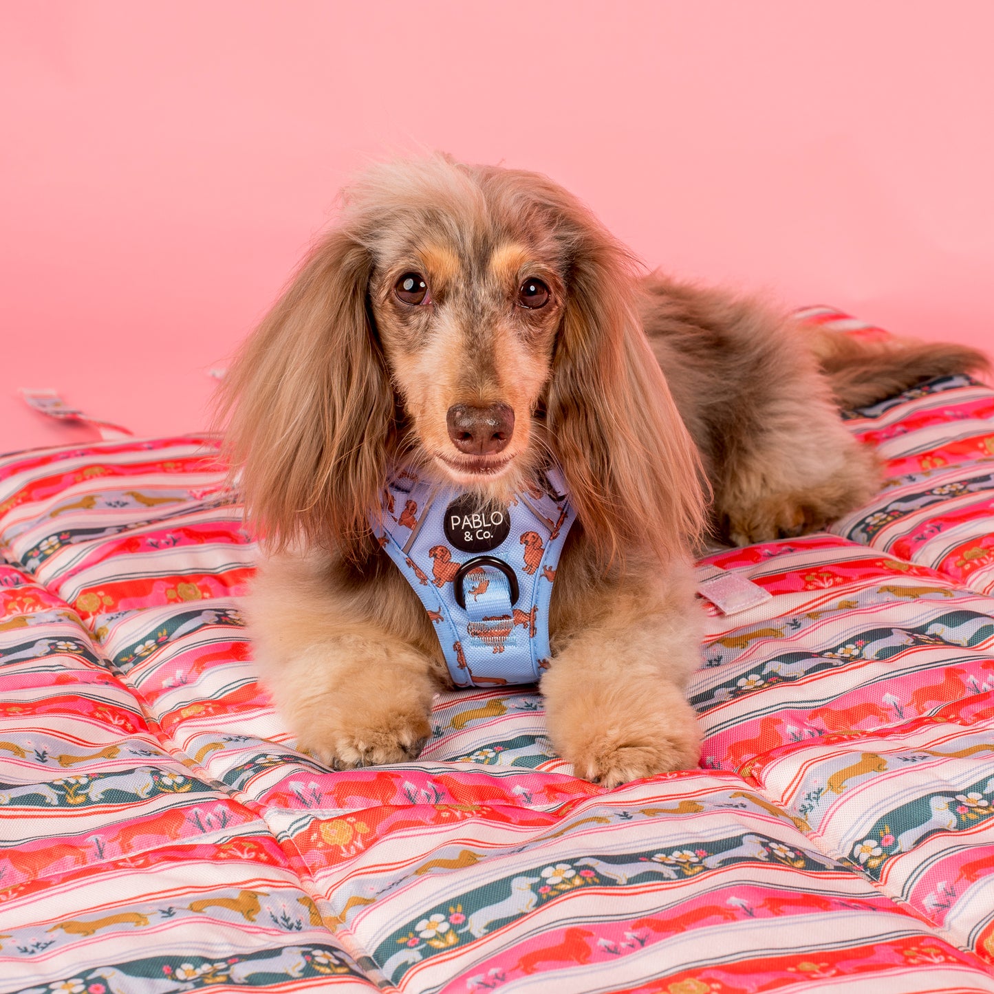 Deluxe Travel Mat: The Blooming Dachshund