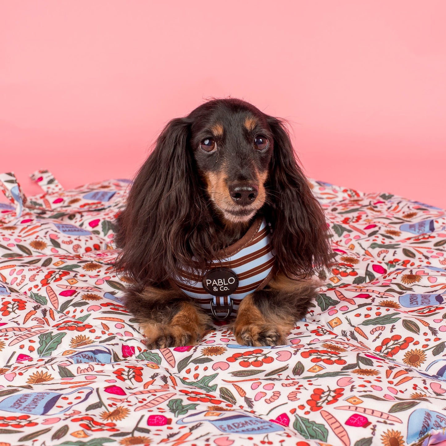 Deluxe Travel Mat: Farmers Market & Sunny Sunflowers