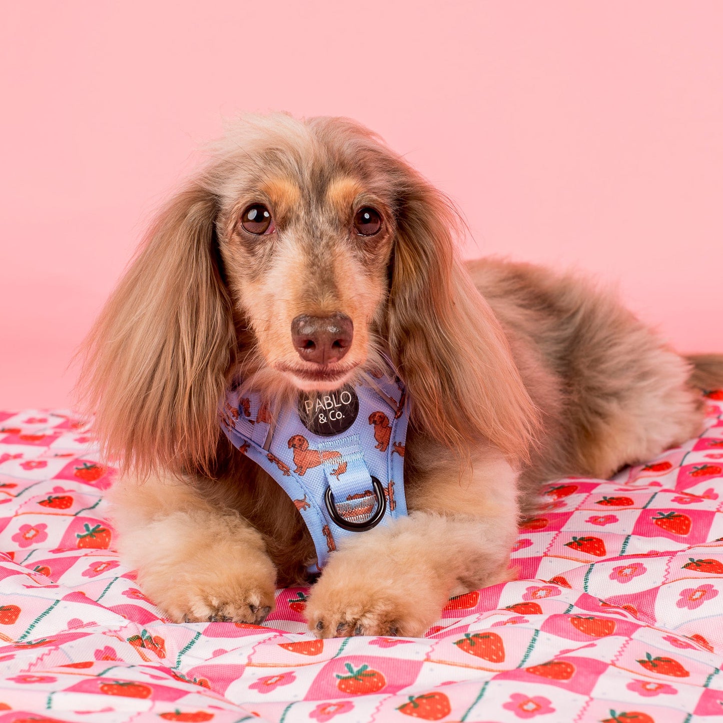 Deluxe Travel Mat: Strawberry Patch & Silly Little Goose