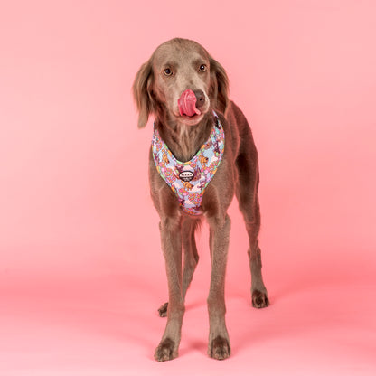 Up: Adjustable Harness