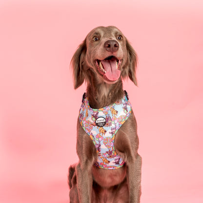 Up: Adjustable Harness