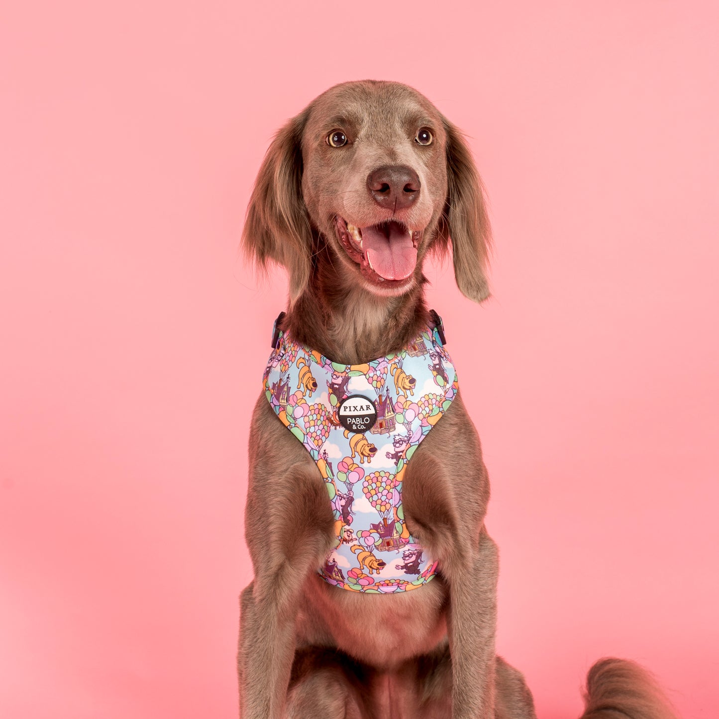 Up: Adjustable Harness