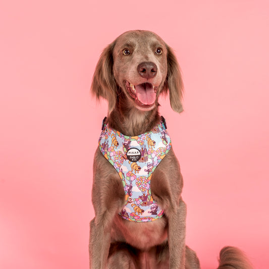 Up: Adjustable Harness