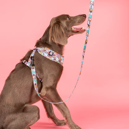 Up: Adjustable Harness