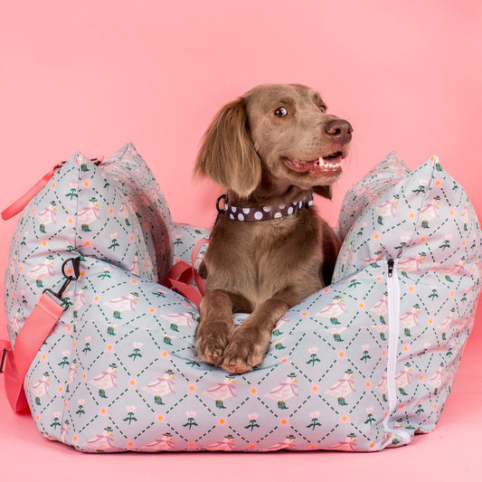 Deluxe Travel Car Bed: Silly Little Goose