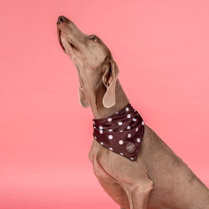 Polka Dots: Dog Bandana