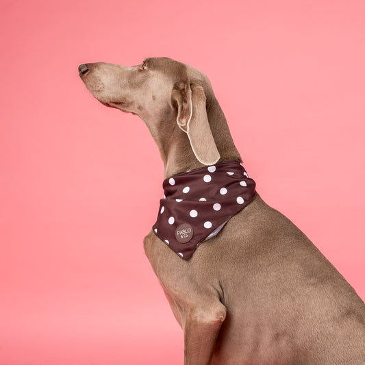 Polka Dots: Dog Bandana