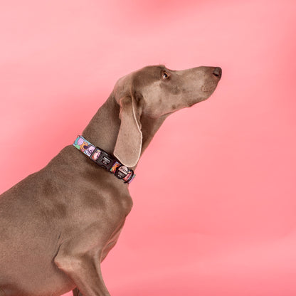 Up: Dog Collar