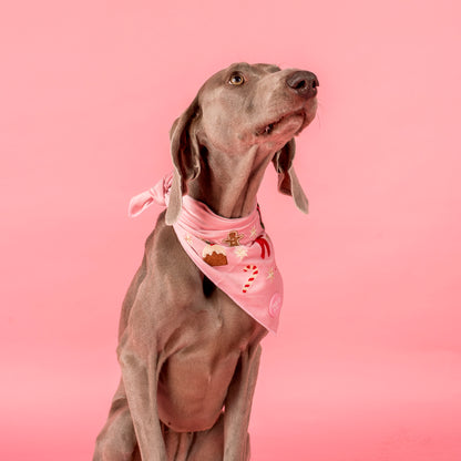 Merry & Bright: Dog Bandana