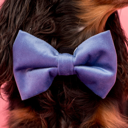 Blue Velvet Bow Tie
