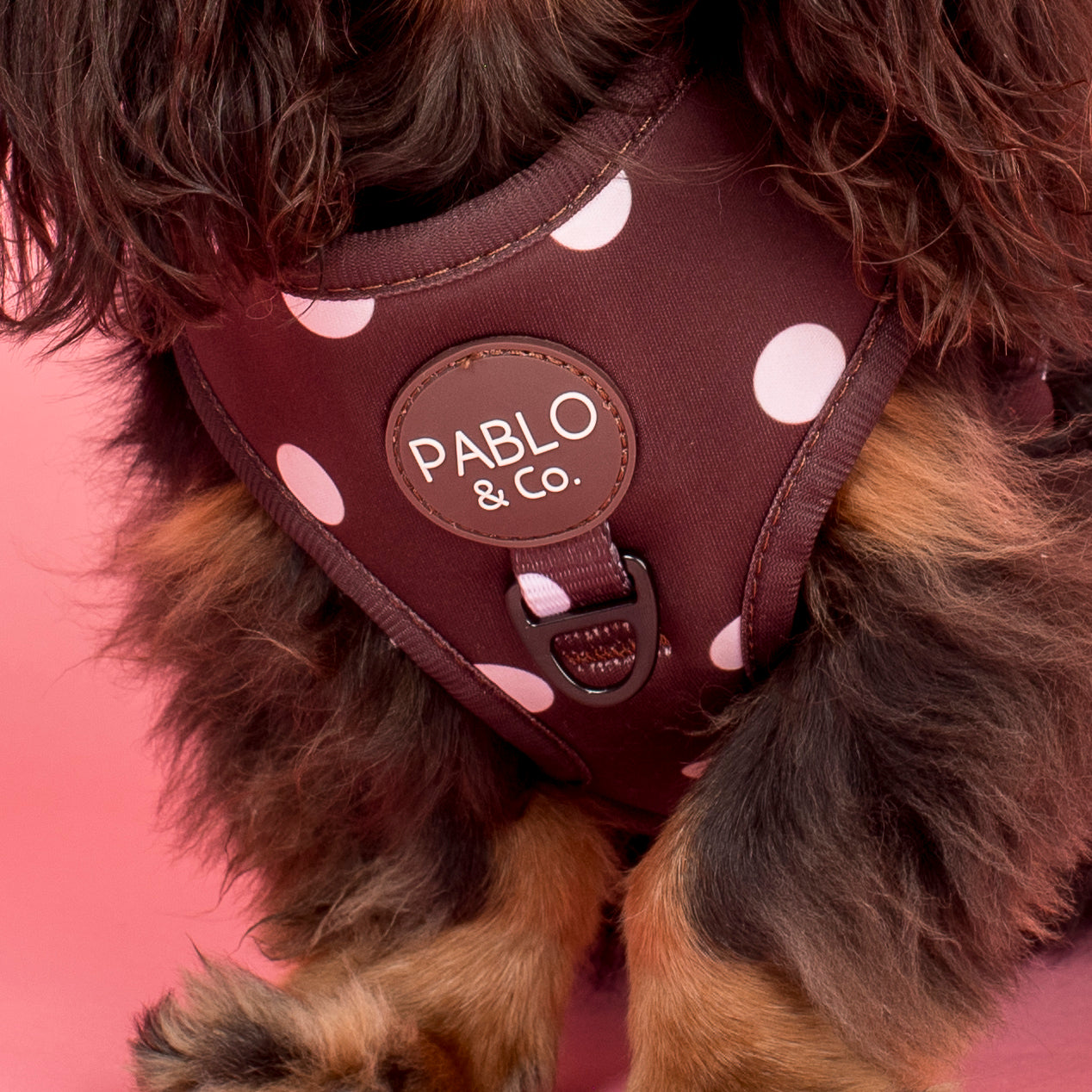 Polka Dots: Adjustable Harness