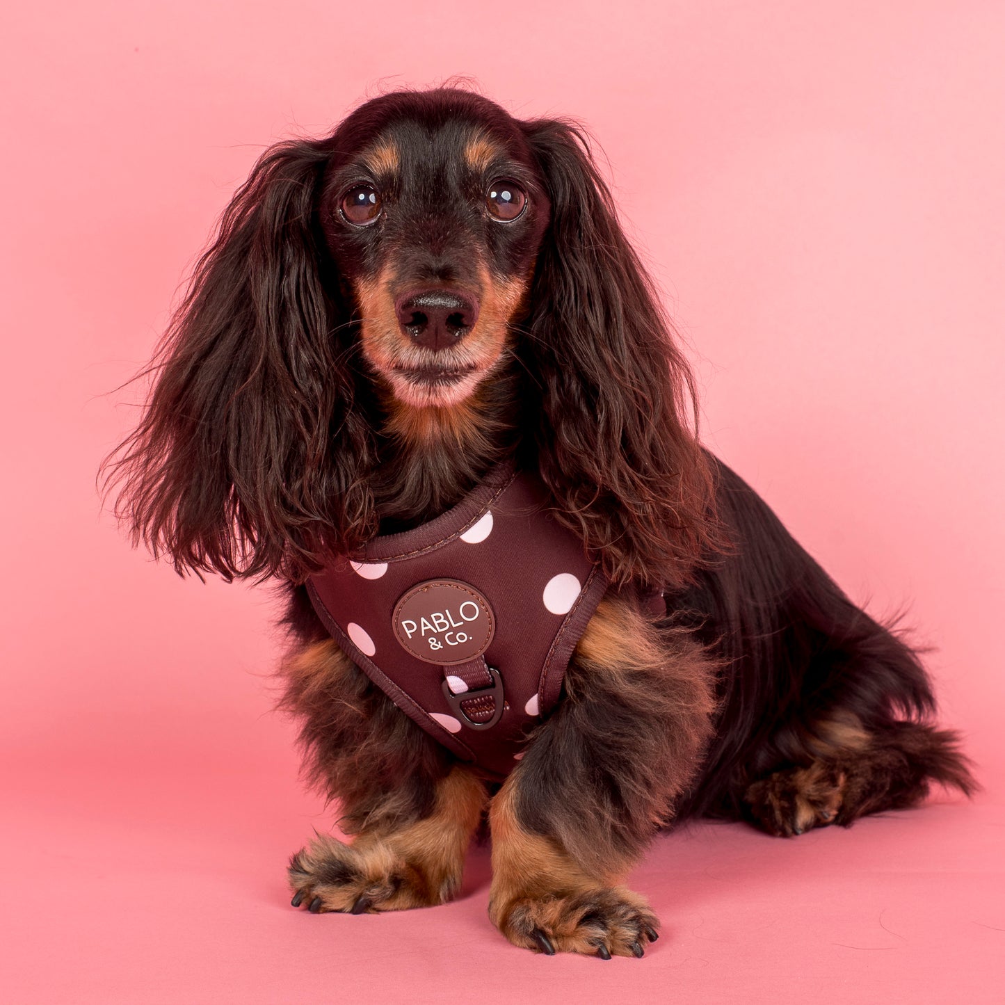 Polka Dots: Adjustable Harness