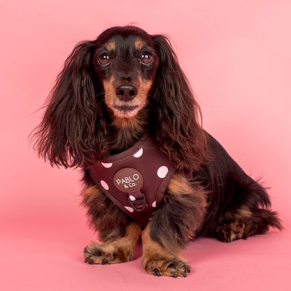 Polka Dots: Adjustable Harness