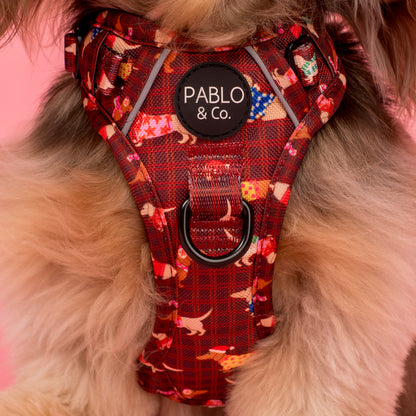Merry Little Dachshunds: No Pull Adventure Harness