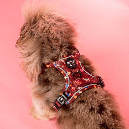 Merry Little Dachshunds: No Pull Adventure Harness