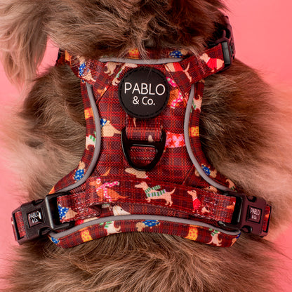 Merry Little Dachshunds: No Pull Adventure Harness