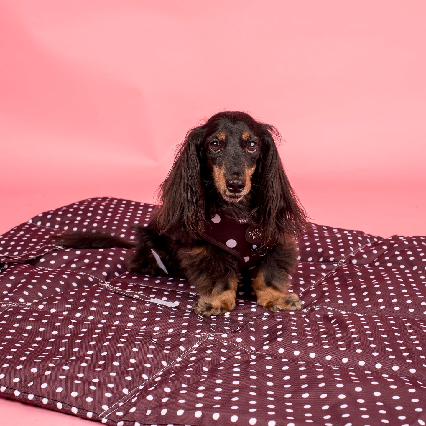 Deluxe Travel Mat: Polka Dots
