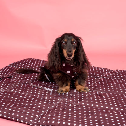 Deluxe Travel Mat: Polka Dots