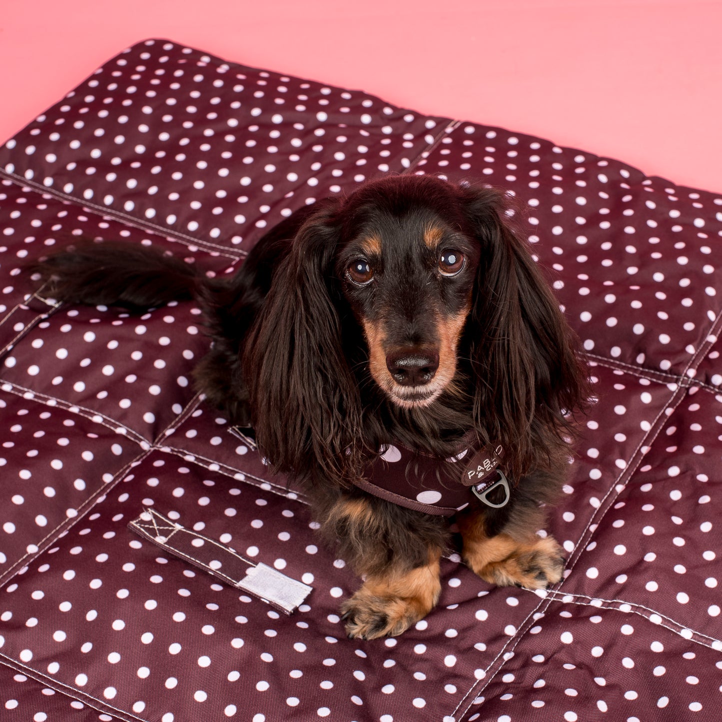 Deluxe Travel Mat: Polka Dots
