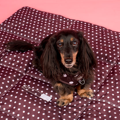 Deluxe Travel Mat: Polka Dots