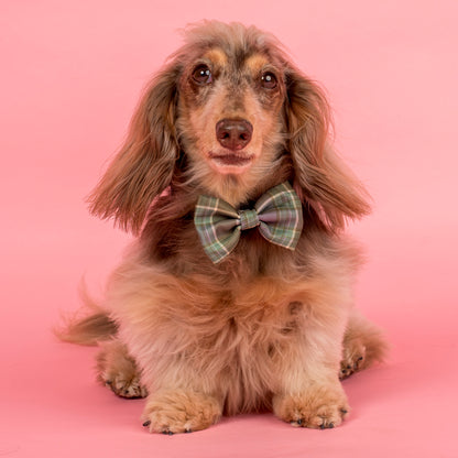 Green Plaid: Bow Tie